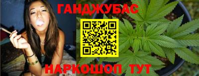 крисы Кунгур