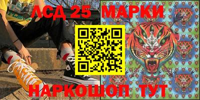 крисы Кунгур